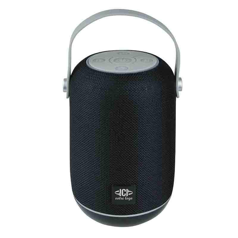Enceinte portable HEWITT