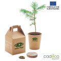 Kit publicitaire de plantation VIGGIA