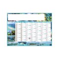 Bancaire EXOTIC STANDARD RIGIDE 550x405