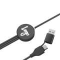 Image 3 - Câble de charge personnalisé EARLY BLAUPUNKT