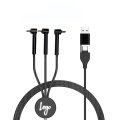 Image 2 - Câble de charge personnalisé EARLY BLAUPUNKT
