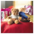 Deux Ours peluches publicitaires GARLICKS