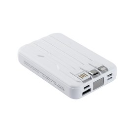 BATTERIE/CHARGEUR DOUBLE USAGE DANBURY 10000MAH