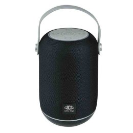 Enceinte portable HEWITT