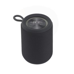 Enceinte Bluetooth DENTON