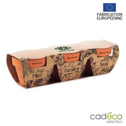 Pots publicitaires avec herbes aromatiques SULPHUR