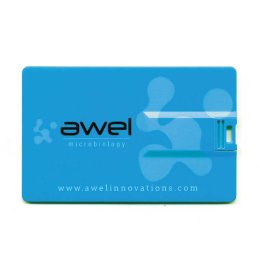 Clé USB publicitaire QUADRI CARD RUSH 4Go