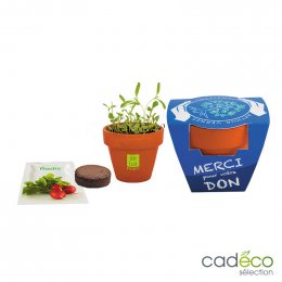 Kit plantation publicitaire NORTHCOTT