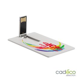 Carte USB publicitaire NEED 16Go