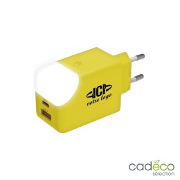 Chargeur secteur personnalisé ICE-G