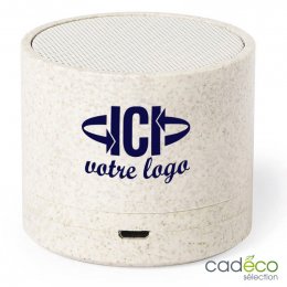 Mini enceinte publicitaire NEALTON