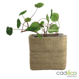 Kit de plantation publicitaire COCO JUTE
