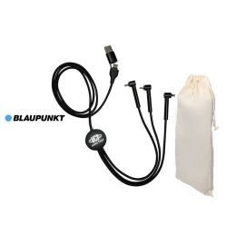 Câble de charge personnalisé EARLY BLAUPUNKT