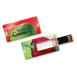 Clé USB MINI CARD 1Go